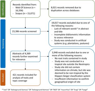 Global root trait underrepresentation in Paleotropical communities: a qualitative analysis
